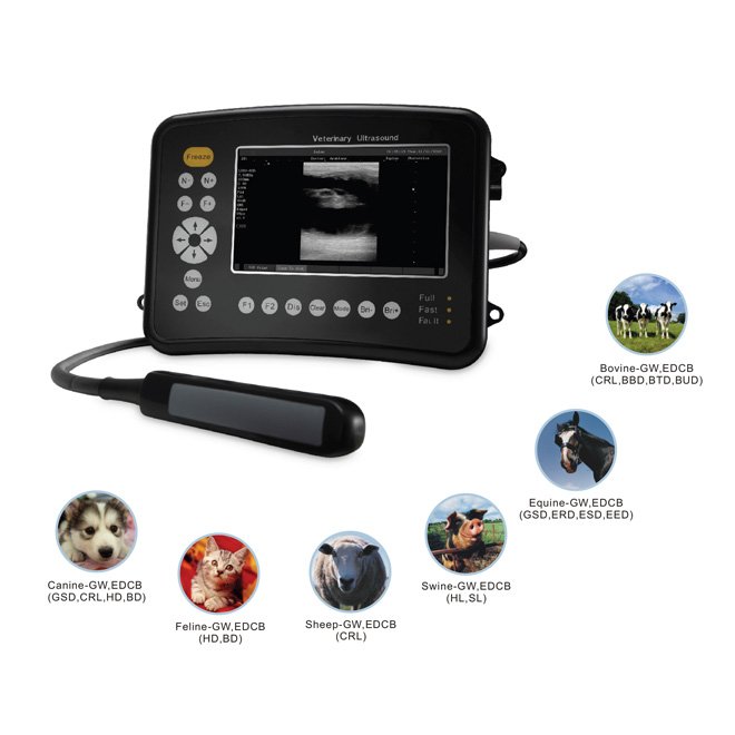 Vet Ultrasound Machine MDLVU26