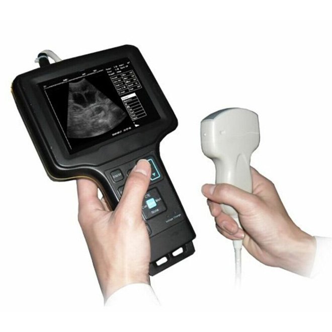 Portable Veterinary Ultrasound Scanner Machine Waterproof MDLVU31
