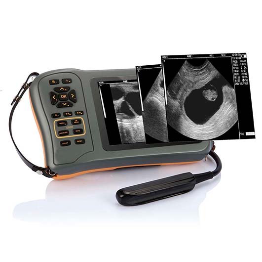 Mini Portable Veterinary Black and White Ultrasound Machine MDLVU42