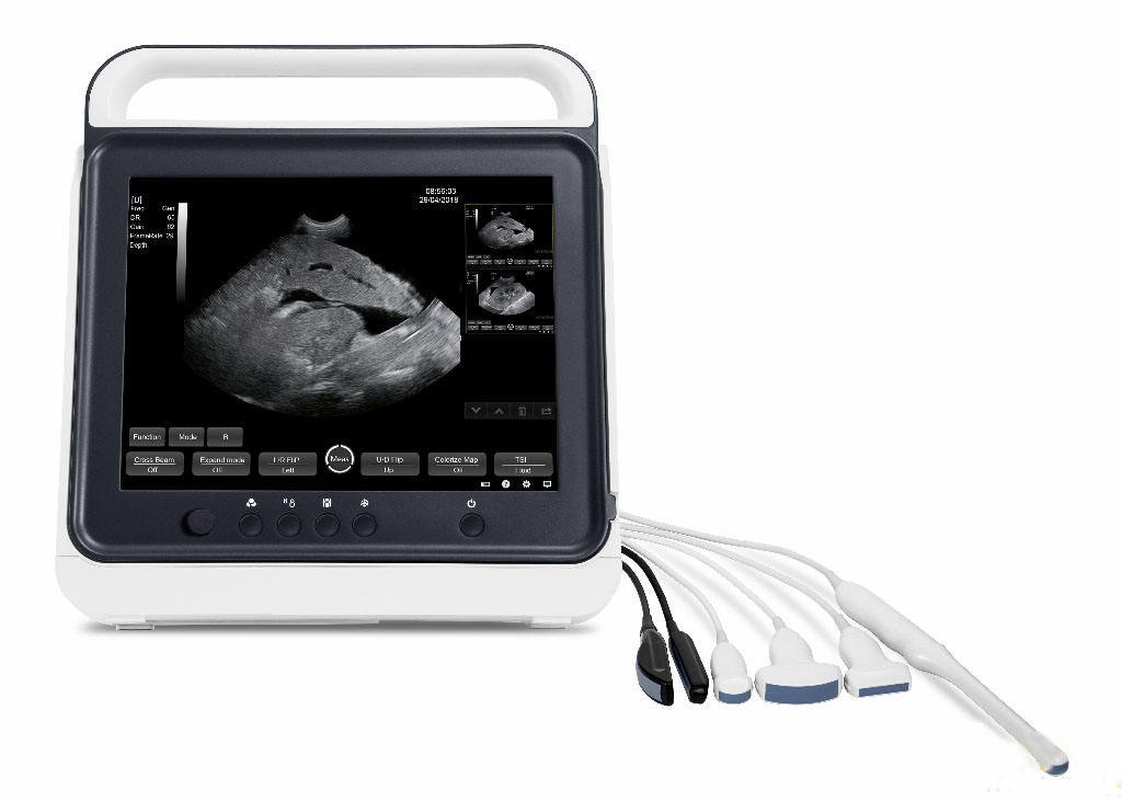 Portable Touch Screen Veterinary Ultrasound Scanner Machine MDLVU40