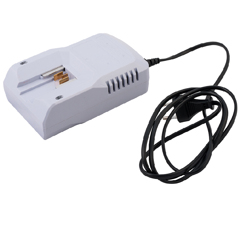 Charger (single port) 18142000