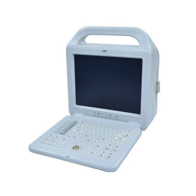 Laptop Animal Ultrasound Scanner MDLPU56V