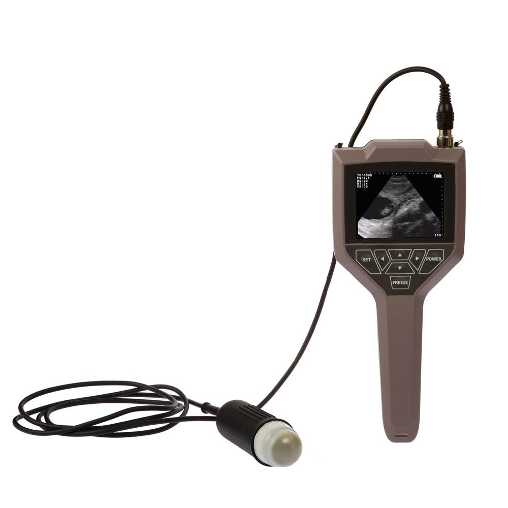Full Digital Swine And Ovine Ultrasound Scanner Machine MDLVU43