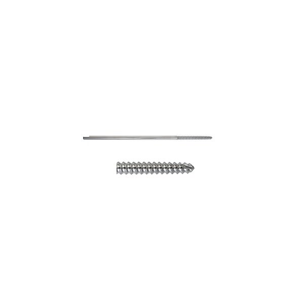 Schanz Screw