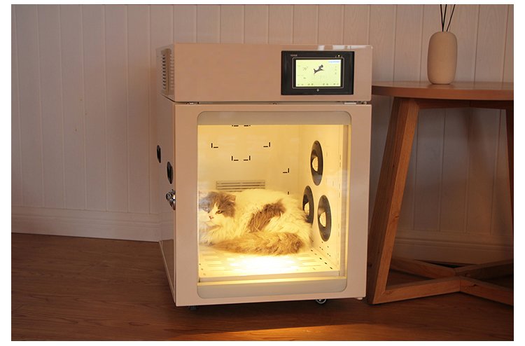 Pet Fully Automatic Dryer Machine (Cat, Teddy, Bichon, Jingba, Pomeranian) MDLHGG21