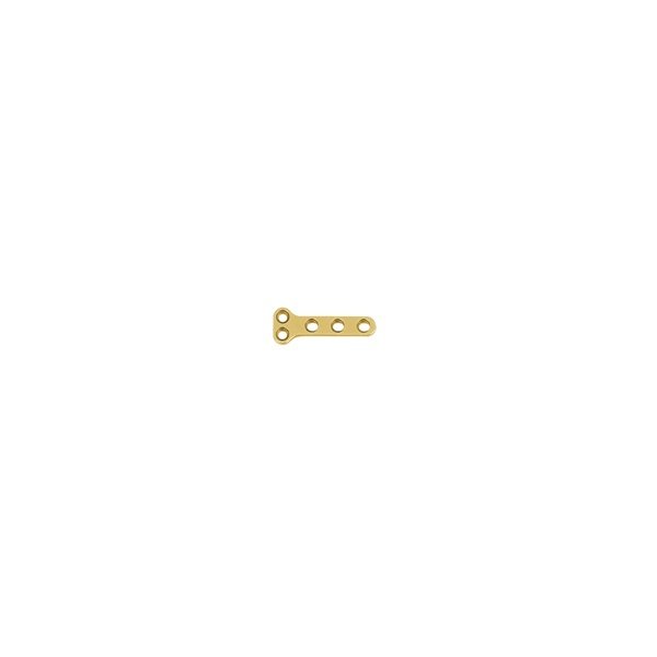 1.1mm T Type Plate (A Series) 2+3 Holes