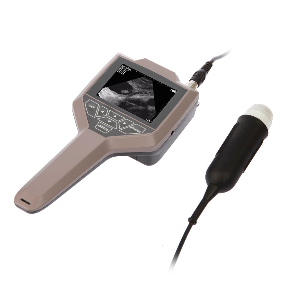 Full Digital Swine And Ovine Ultrasound Scanner Machine MDLVU43