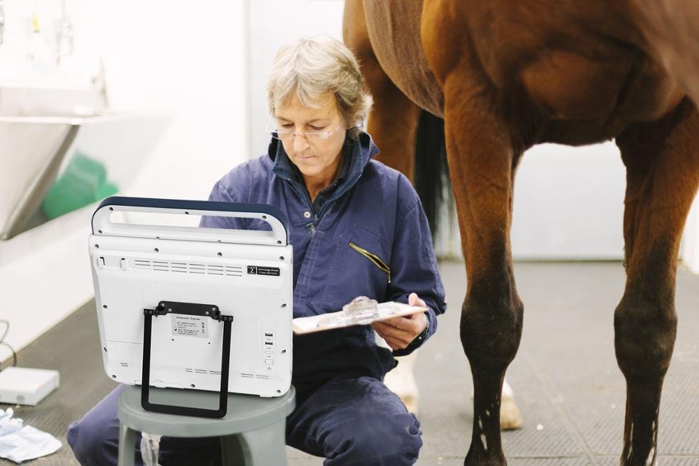 Pad Touch Veterinary Series Ultrasound System Machine MDLVU45