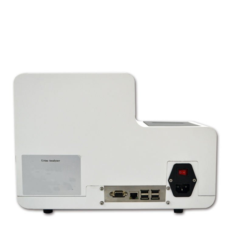 Automatic Urine Analyzer Machine MDLBW02
