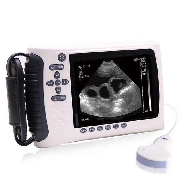 Veterinary Handheld Ultrasound Scanner MDLVU22