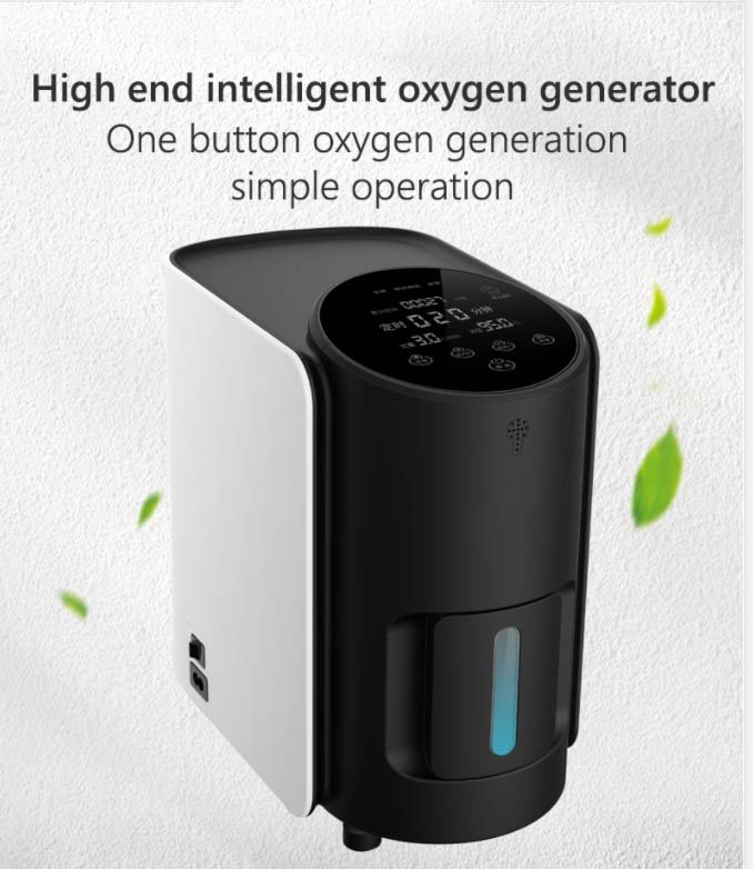 Household 5 Liter Movable Oxygen Concentrator with Smart Voice MDLZY35