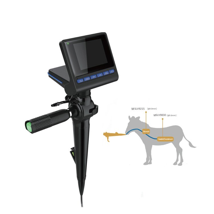 Flexible Portable Cat, Dog, Horse Endoscopy MDLV5010