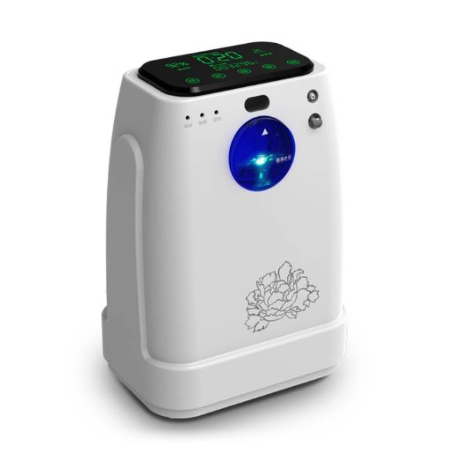 3L Oxygen Concentrators Machine MDLZY31
