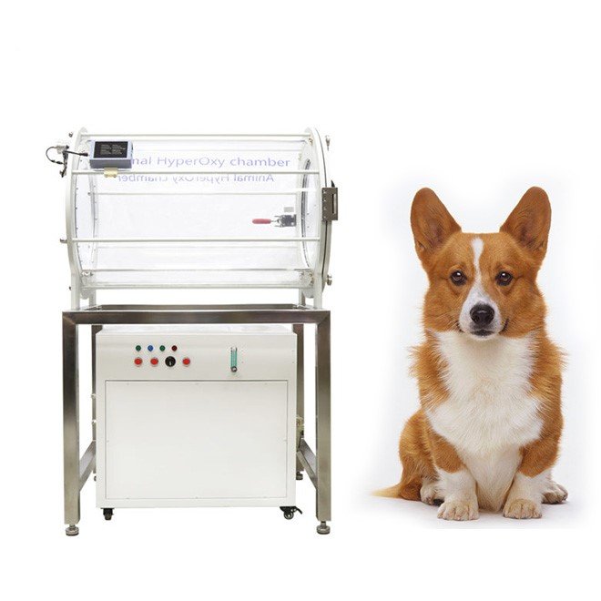 Pet Hyperbaric Oxygen Therapy Chamber Animal Care MDLDN01