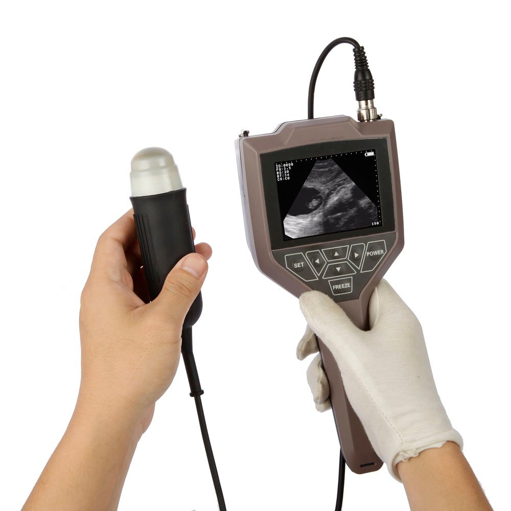 Full Digital Swine And Ovine Ultrasound Scanner Machine MDLVU43