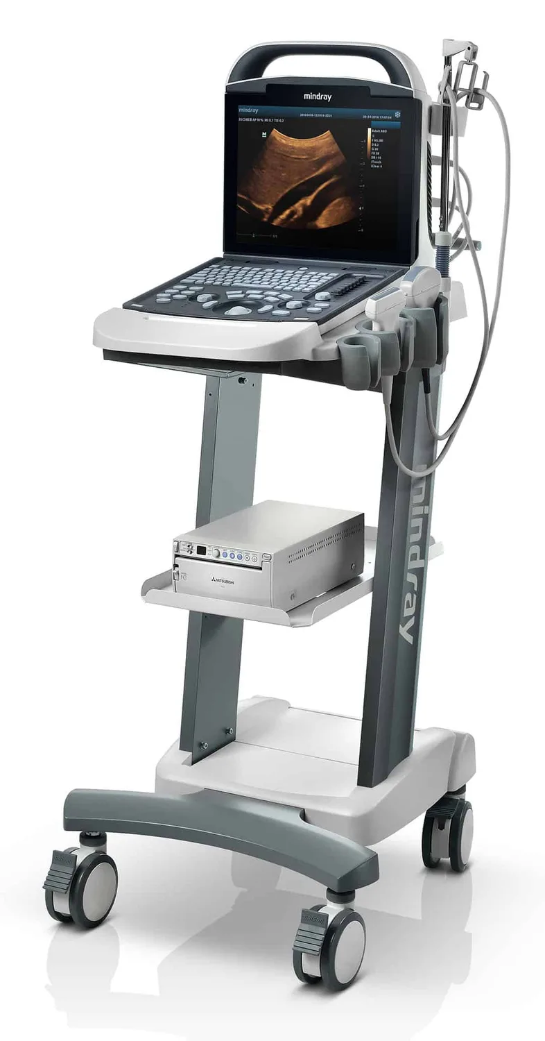 Portable Ultrasound Machine Mindray DP-10