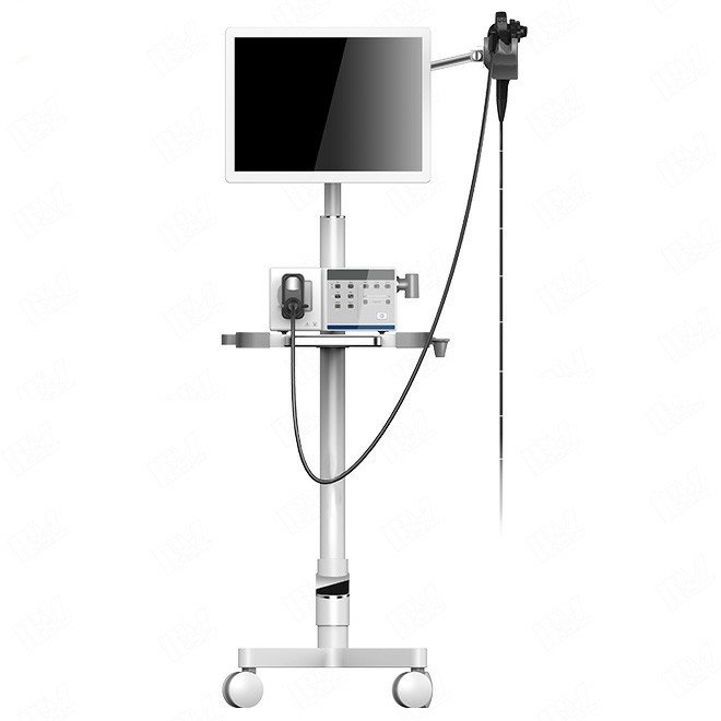 Professional Veterinary Endoscope System, Vet Camera Endoscopic for Dog or Cat MDLVP01