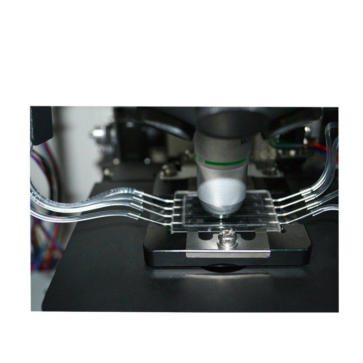 Automatic Urine Sediment Analyzer MDLDJ04