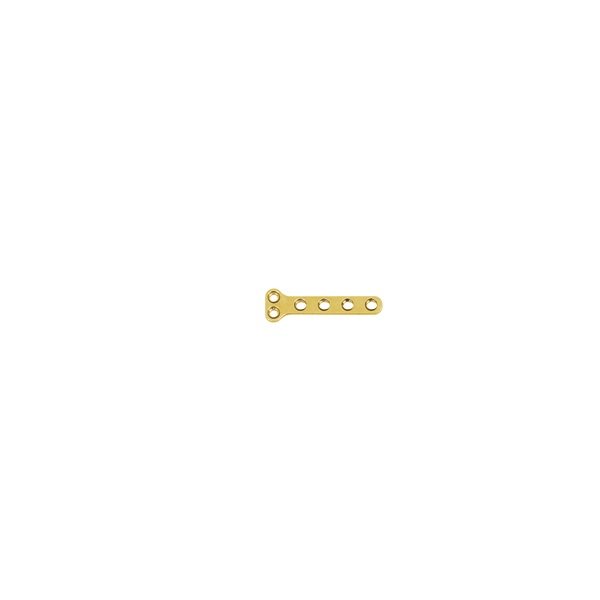 1.1mm T Type Plate (A Series) 2+4 Holes