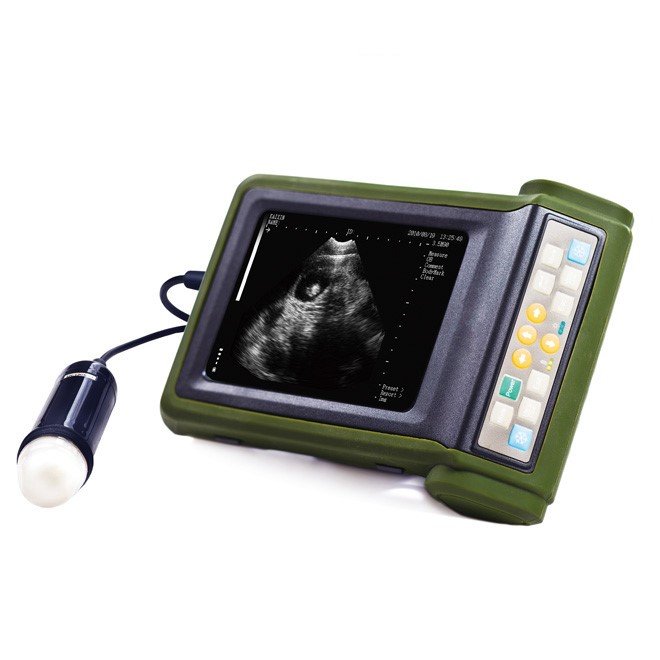 Diagnostic Ultrasound Scanner for Vet MDLVU24