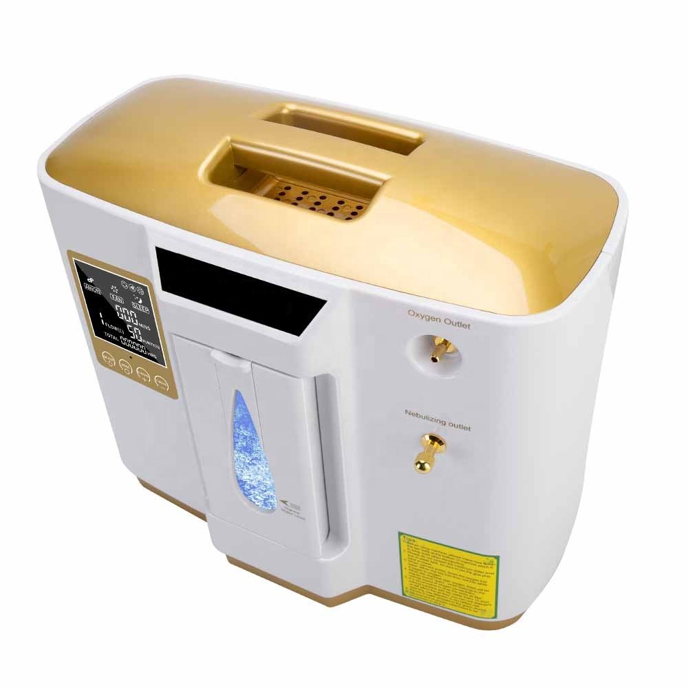 Portable Oxygen Concentrator MDLZY41