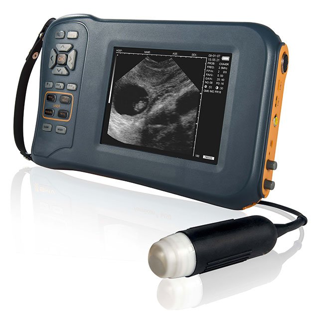 Handheld Digital Black and White Veterinary Ultrasound System Machine MDLVU44